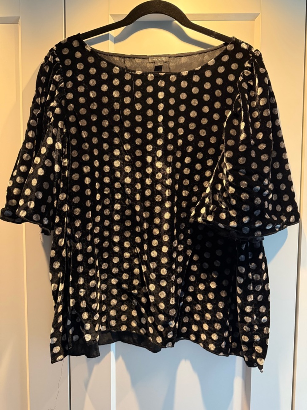 Ann Taylor Black Velvet Polka Dot Short Sleeve Blouse